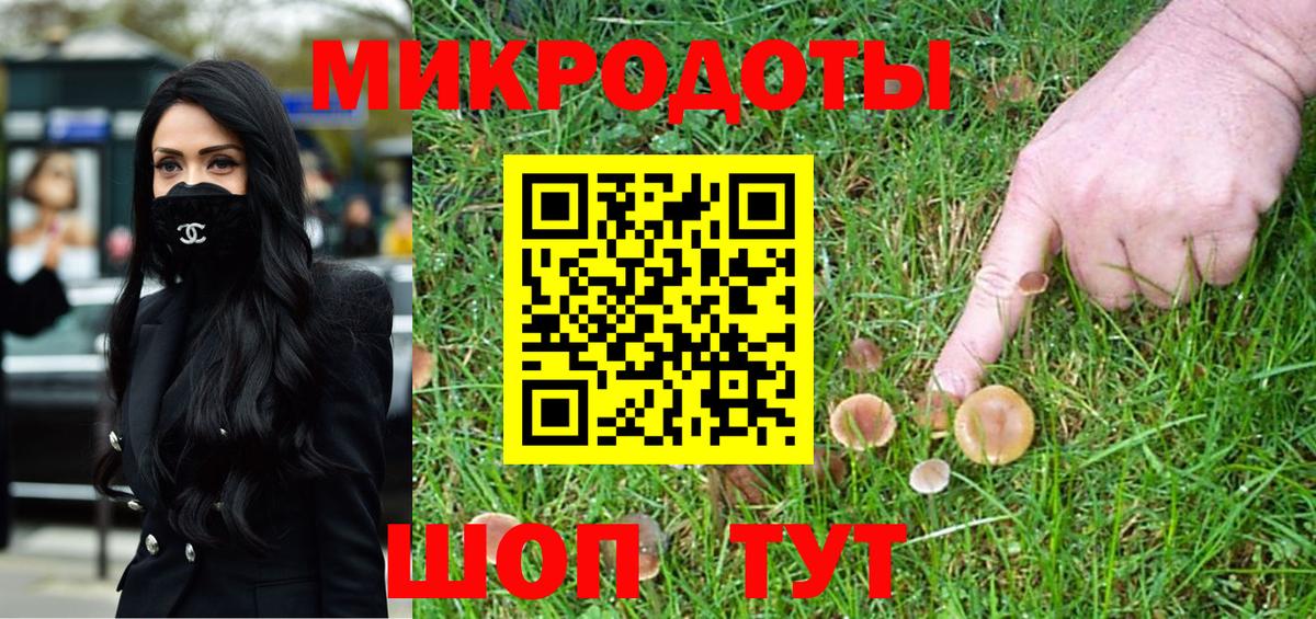 Топки  Псилоцибиновые грибы Psilocybine cubensis  Вход с VPN 