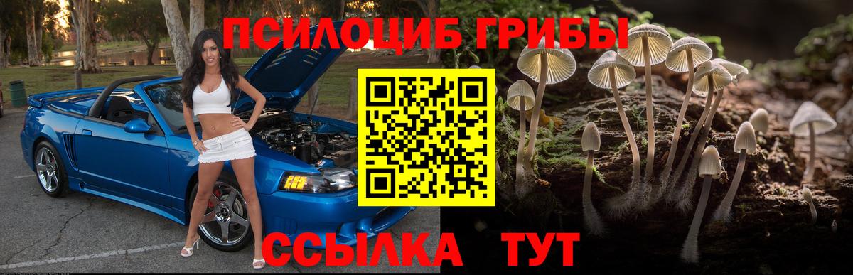 Галлюциногенные грибы мицелий  наркота  Топки 